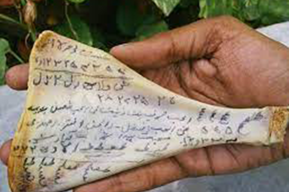 Shadi Ka Taweez
